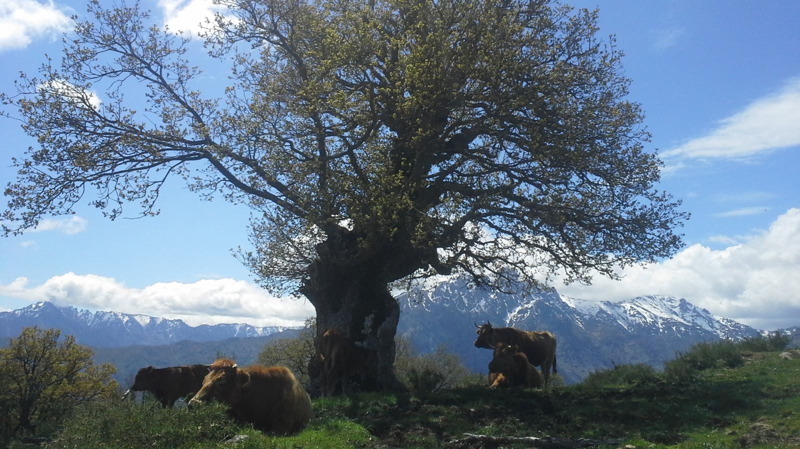 rando crête corse