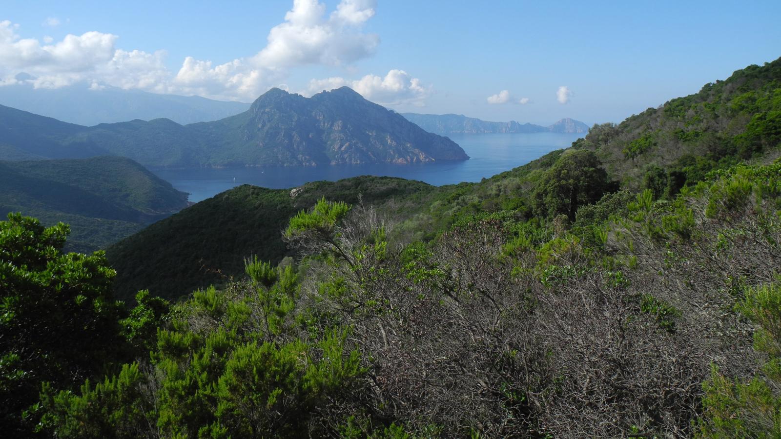 Sur le MARE MONTI