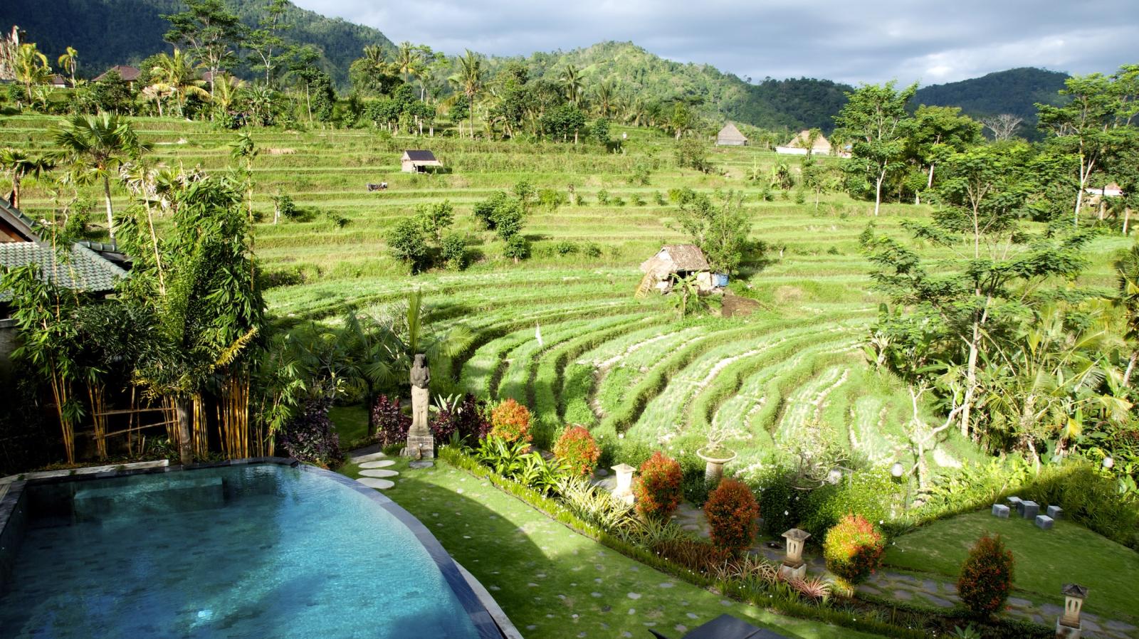 Bali - Sidemen - vue sur rizières en terrasse et piscine