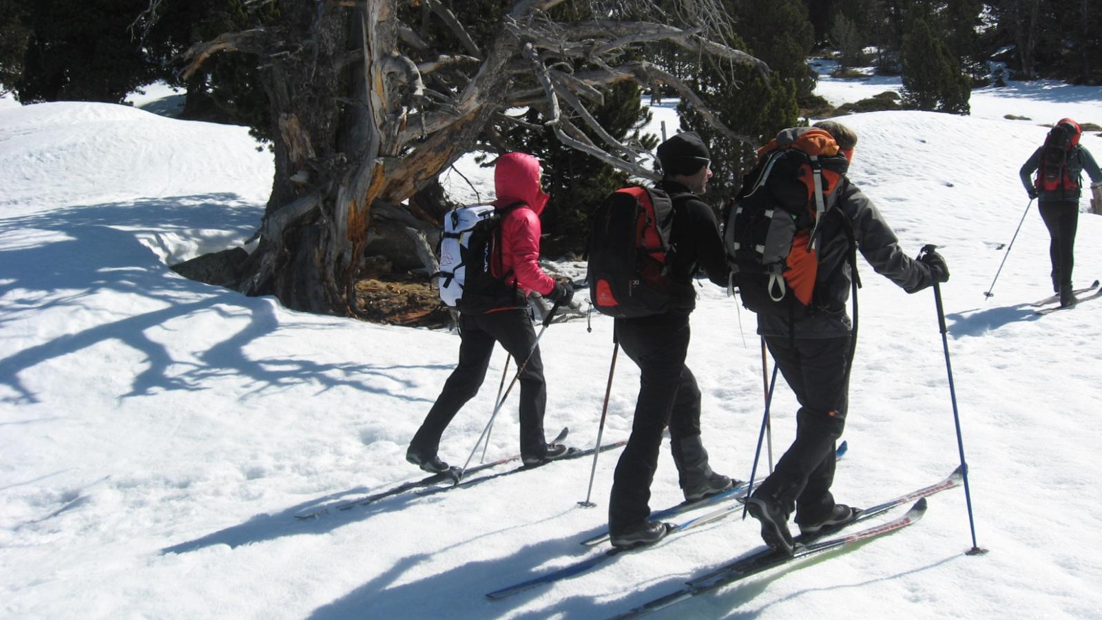 ski de randonnée nordique Pyrénées Orientales