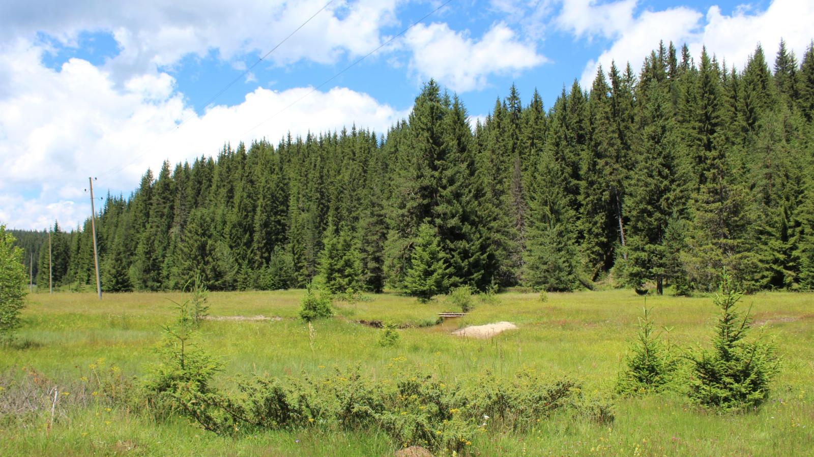 rhodopes_occidentales_bulgarie
