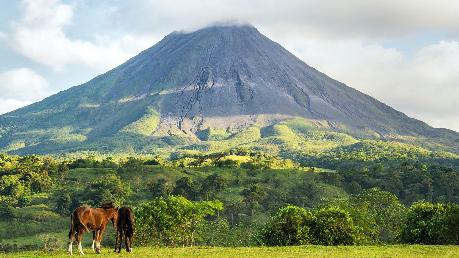 Arenal