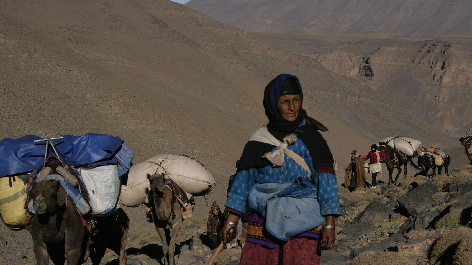 Transhumance avec les nomades du Maroc