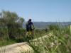 Sillonnez sur les petites routes des Terrasses du Larzac