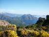 Girolata