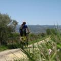 Sillonnez sur les petites routes des Terrasses du Larzac