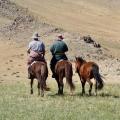 Cheval Mongolie