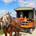 Emotion planet voyage insolite ethique durable lent roulotte cheval jura