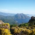 Girolata