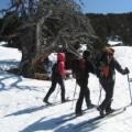 ski randonnée nordique