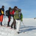 Arpenter les grands espaces enneigés en Aubrac