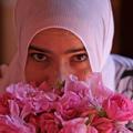 Maroc vallee des roses